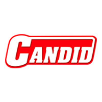 کاندید